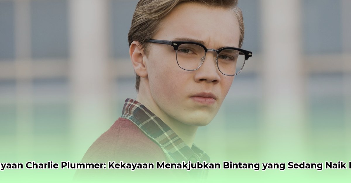 charlie plummer net worth